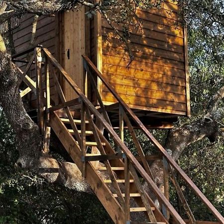 Cabana Del Arbol Lavagarural Villanueva del Rosario 外观 照片