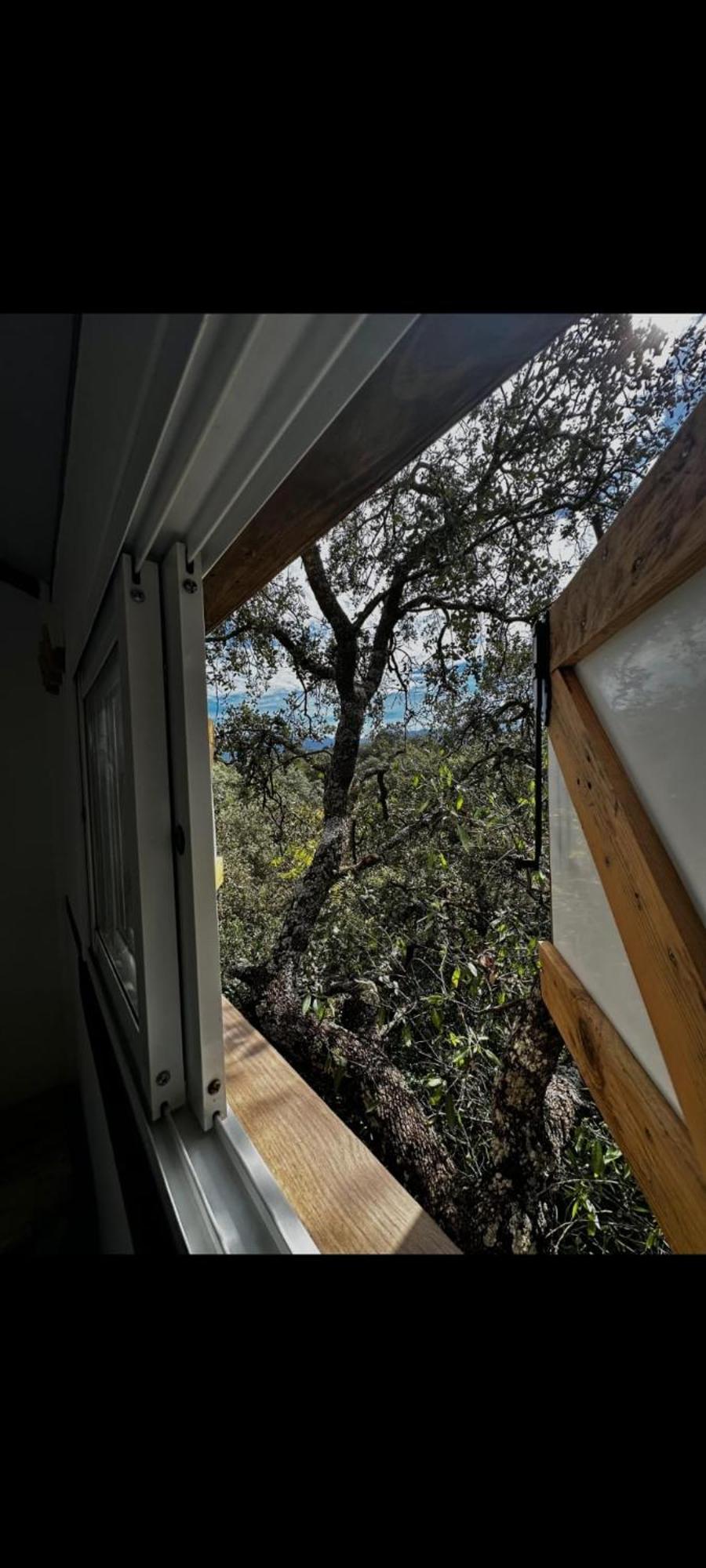 Cabana Del Arbol Lavagarural Villanueva del Rosario 外观 照片