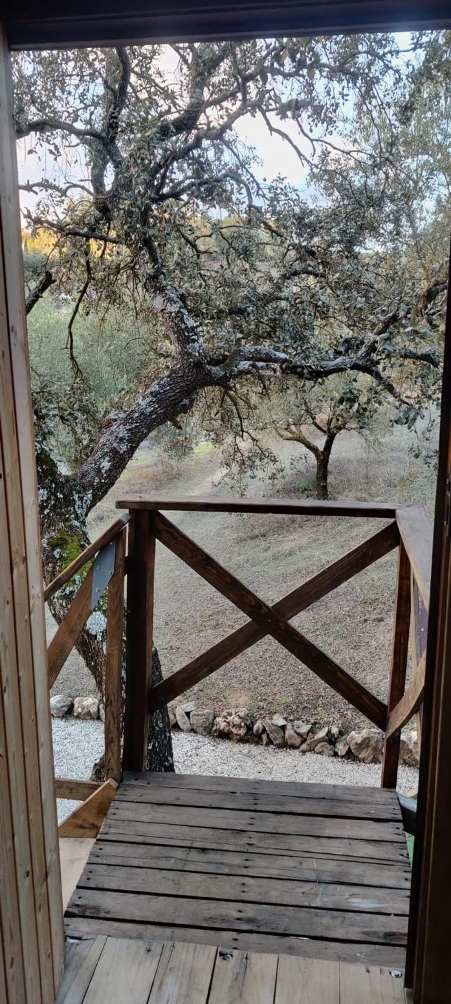 Cabana Del Arbol Lavagarural Villanueva del Rosario 外观 照片